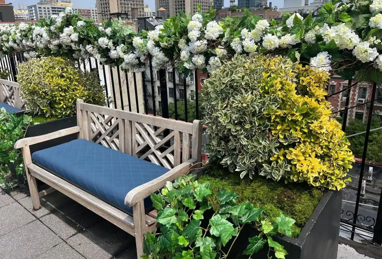 Penthouse and Roof Garden