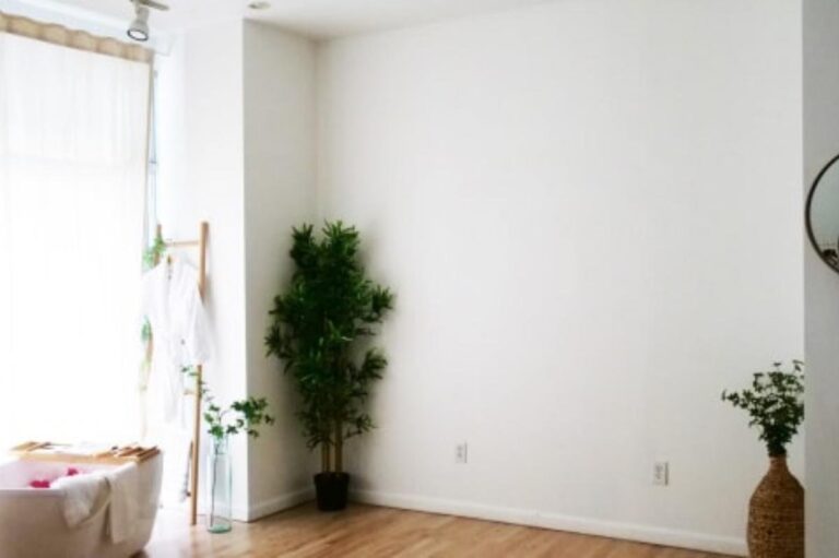 Sunlit Prop Studio & Event Space