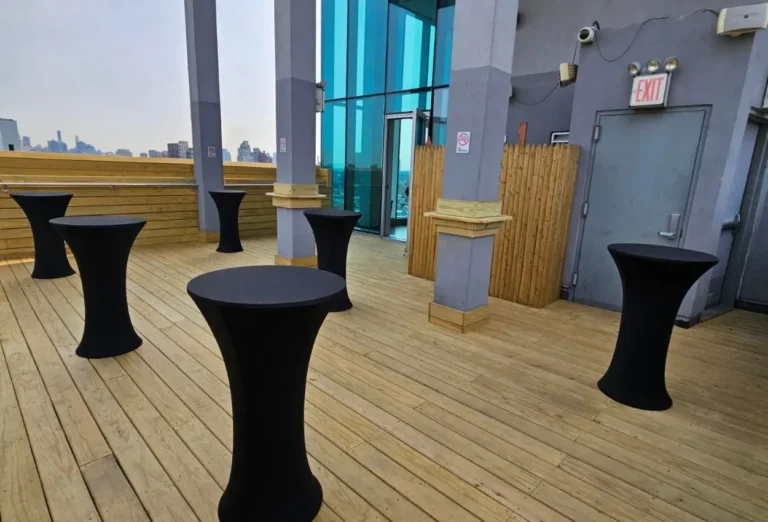 Penthouse with Terrace